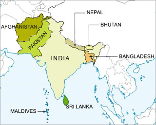 Unity in Diversity of South Asian Region